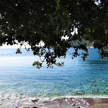 酒店 Serena 图兰克