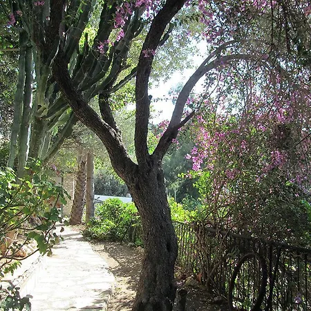 Serena تورونشْ