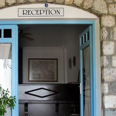 Serena * トゥルンチュ