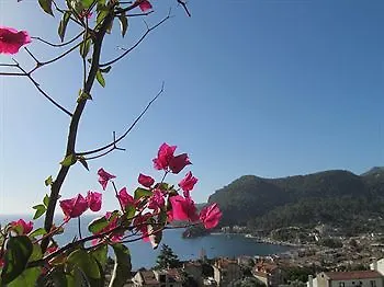 Serena * تورونشْ