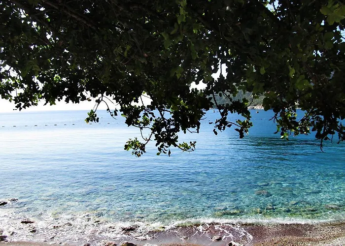 Hotel Serena Turunç