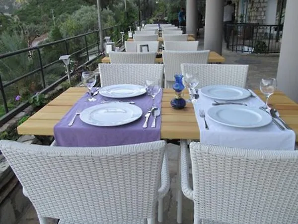 Hotel Serena *